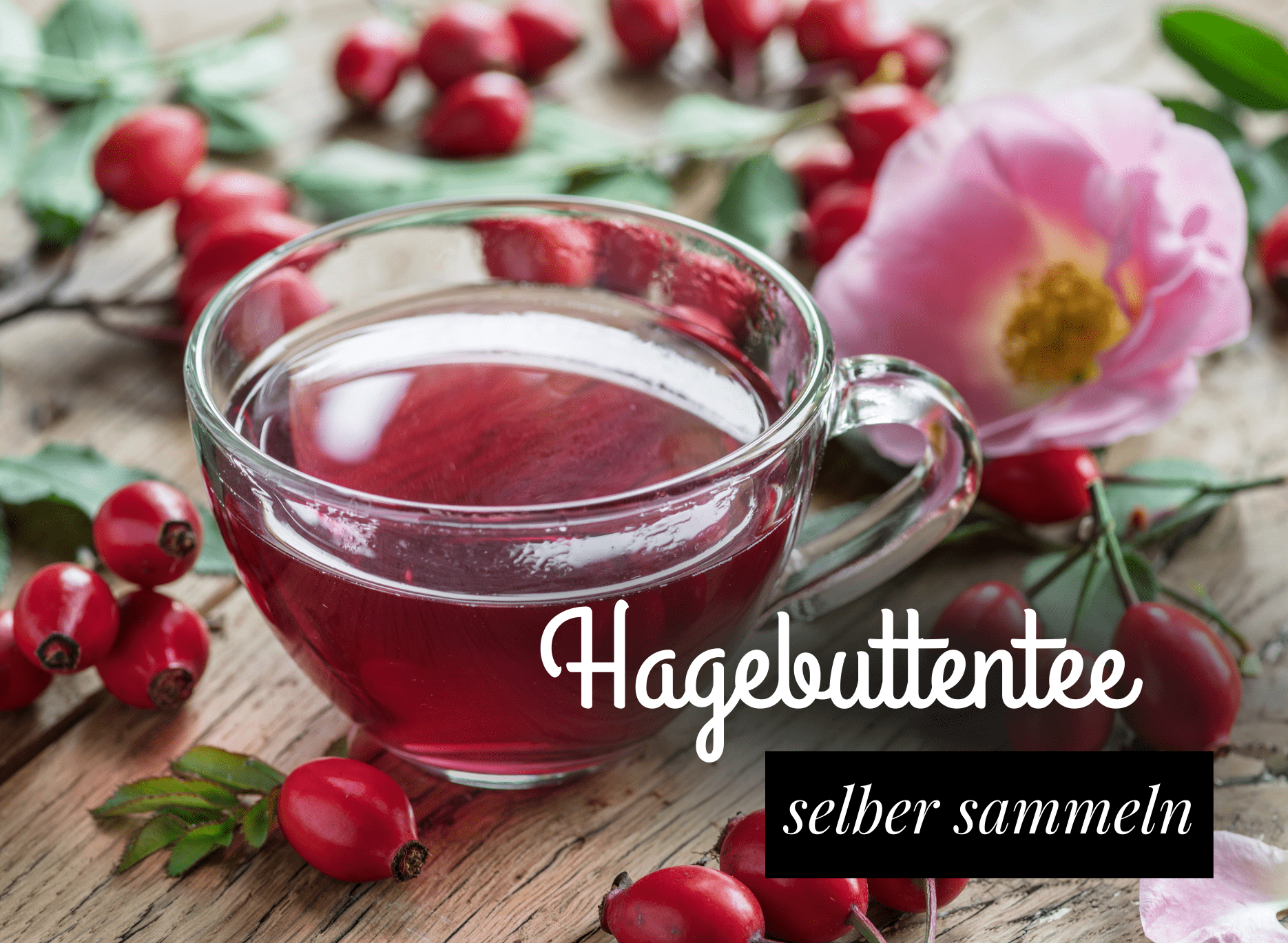 You are currently viewing Hagebuttentee selber machen