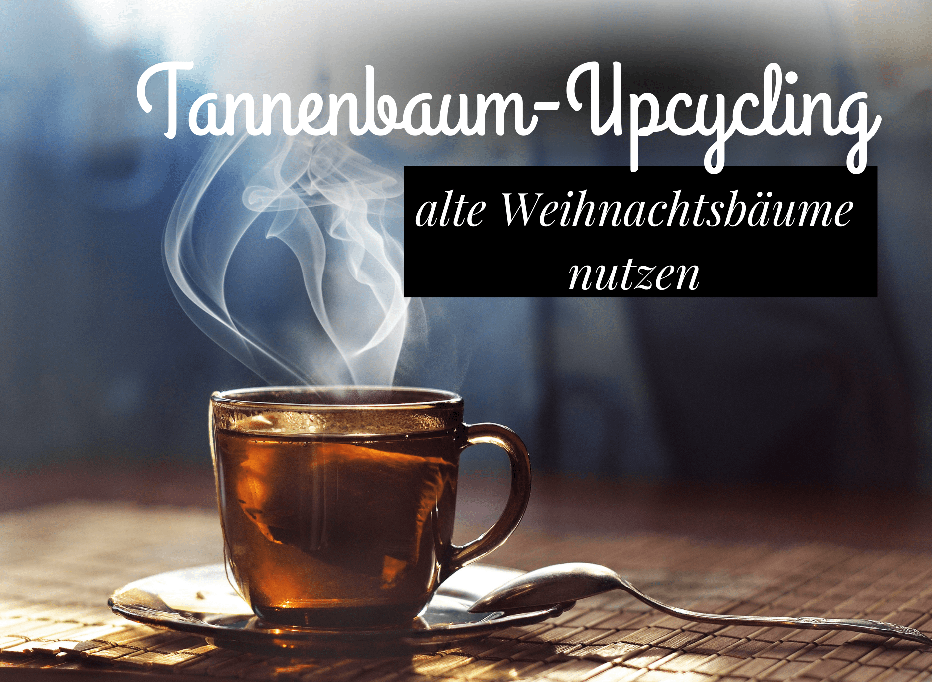 Read more about the article Tannenbaum Upcycling, – getrocknete Tannennadeln neu verwerten