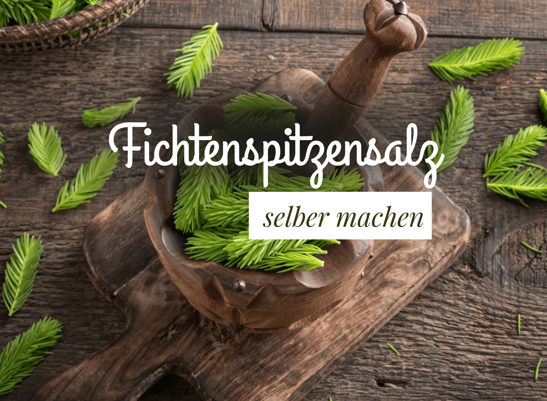 Read more about the article Fichtensalz selber machen