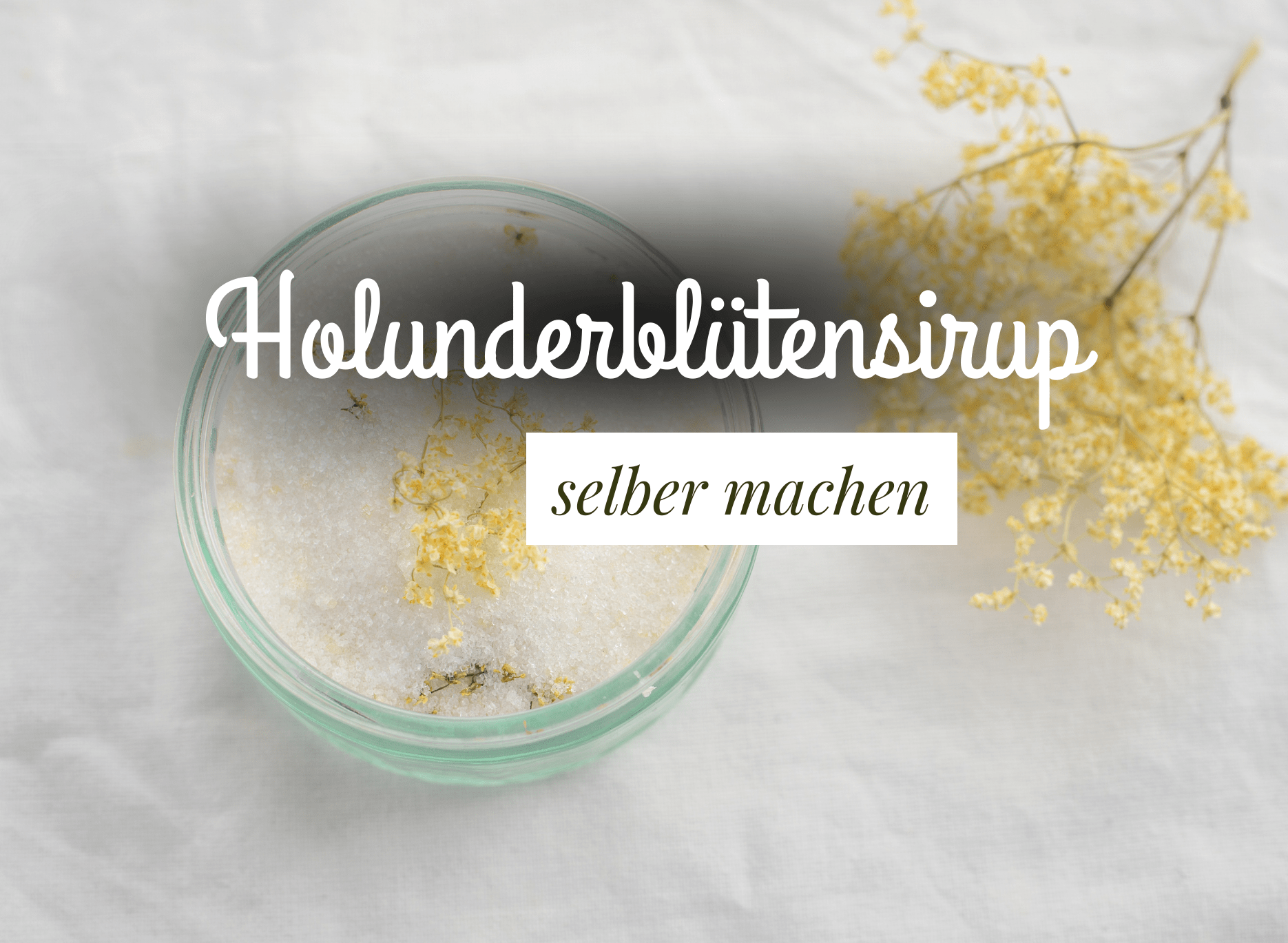 Read more about the article Holunderblütensirup