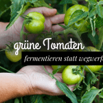 grüne Tomaten fermentieren
